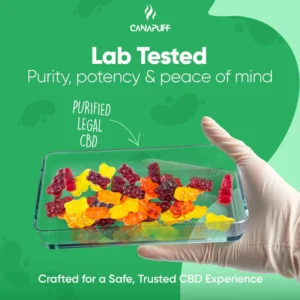 canapuff, canapuf, cannapuff, mr hanf, hhc kaufen, kratom günstig kaufen, thc vape germany, hhc friends, münchen puffs, hanf der etwas andere bioladen, hhc vape kaufen, hanfify, puf berlin, hhcfriends, canapuff deutschland, hanfen, mr. hanf, thc v, hanf com, headshop münchen, mr bubatz bielefeld, canapuf, hanf augsburg, hanf kontor weimar, hhc bestellen, thc produkte, canana, hanf mühldorf, hanf produkte, hanf.com mönchengladbach, canapuff, cannapuf, canapuff, canapuff, thc vape pen, pot gummy bears, cannabinoids gummies, vape met thc, drugs gummies, gummies drugs, canvaž, edible gummies thc, edible thc gummies, puff thc, canapuff nederland, thc vape nederland, canapuff deutschland, daily pineapple juicy gummies,