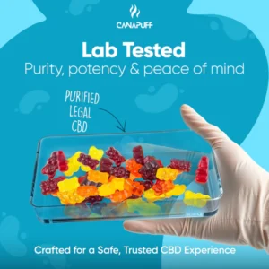 canapuff, canapuff, cannapuff, mr hanf, hhc kaufen, kratom günstig kaufen, thc vape germany, hhc friends, münchen puffs, hanf der etwas andere bioladen, hhc vape kaufen, hanfify, puf berlin, hhcfriends, canapuff deutschland, hanfen, mr. hanf, thc v, hanf com, headshop münchen, mr bubatz bielefeld, canapuf, hanf augsburg, hanf kontor weimar, hhc bestellen, thc produkte, canana, hanf mühldorf, hanf produkte, hanf.com mönchengladbach, canapuff, cannapuf, canapuff, canapuff, thc vape pen, pot gummy bears, cannabinoids gummies, vape met thc, drugs gummies, gummies drugs, canvaž, edible gummies thc, edible thc gummies, puff thc, canapuff nederland, thc vape nederland, canapuff deutschland, daily pineapple juicy gummies,