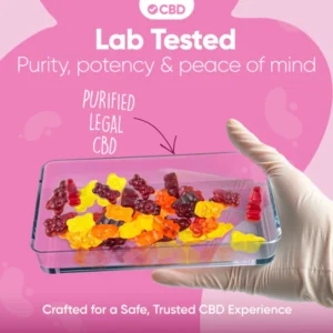 canapuff, canapuff, cannapuff, mr hanf, hhc kaufen, kratom günstig kaufen, thc vape germany, hhc friends, münchen puffs, hanf der etwas andere bioladen, hhc vape kaufen, hanfify, puf berlin, hhcfriends, canapuff deutschland, hanfen, mr. hanf, thc v, hanf com, headshop münchen, mr bubatz bielefeld, canapuf, hanf augsburg, hanf kontor weimar, hhc bestellen, thc produkte, canana, hanf mühldorf, hanf produkte, hanf.com mönchengladbach, canapuff, cannapuf, canapuff, canapuff, thc vape pen, pot gummy bears, cannabinoids gummies, vape met thc, drugs gummies, gummies drugs, canvaž, edible gummies thc, edible thc gummies, puff thc, canapuff nederland, thc vape nederland, canapuff deutschland, daily pineapple juicy gummies,