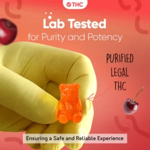 canapuff, canapuff, cannapuff, mr hanf, hhc kaufen, kratom günstig kaufen, thc vape germany, hhc friends, münchen puffs, hanf der etwas andere bioladen, hhc vape kaufen, hanfify, puf berlin, hhcfriends, canapuff deutschland, hanfen, mr. hanf, thc v, hanf com, headshop münchen, mr bubatz bielefeld, canapuf, hanf augsburg, hanf kontor weimar, hhc bestellen, thc produkte, canana, hanf mühldorf, hanf produkte, hanf.com mönchengladbach, canapuff, cannapuf, canapuff, canapuff, thc vape pen, pot gummy bears, cannabinoids gummies, vape met thc, drugs gummies, gummies drugs, canvaž, edible gummies thc, edible thc gummies, puff thc, canapuff nederland, thc vape nederland, canapuff deutschland, daily pineapple juicy gummies, delta 9 thc gummies, delta 9 gummies australia, best delta 9 gummies, strongest delta 9 gummies, urb delta 9 gummies,