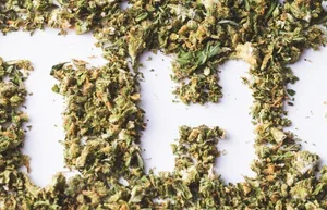 canapuff, canapuff, cannapuff, mr hanf, hhc kaufen, kratom günstig kaufen, thc vape germany, hhc friends, münchen puffs, hanf der etwas andere bioladen, hhc vape kaufen, hanfify, puf berlin, hhcfriends, canapuff deutschland, hanfen, mr. hanf, thc v, hanf com, headshop münchen, mr bubatz bielefeld, canapuf, hanf augsburg, hanf kontor weimar, hhc bestellen, thc produkte, canana, hanf mühldorf, hanf produkte, hanf.com mönchengladbach, canapuff, cannapuf, canapuff, canapuff, thc vape pen, pot gummy bears, cannabinoids gummies, vape met thc, drugs gummies, gummies drugs, canvaž, edible gummies thc, edible thc gummies, puff thc, canapuff nederland, thc vape nederland, canapuff deutschland, daily pineapple juicy gummies, delta 9 thc gummies, delta 9 gummies australia, best delta 9 gummies, strongest delta 9 gummies, urb delta 9 gummies,