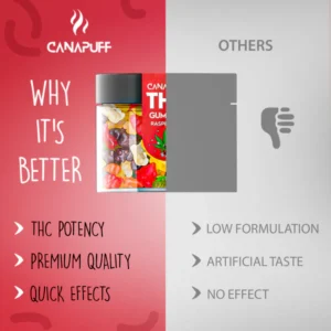 canapuff, canapuff, cannapuff, mr hanf, hhc kaufen, kratom günstig kaufen, thc vape germany, hhc friends, münchen puffs, hanf der etwas andere bioladen, hhc vape kaufen, hanfify, puf berlin, hhcfriends, canapuff deutschland, hanfen, mr. hanf, thc v, hanf com, headshop münchen, mr bubatz bielefeld, canapuf, hanf augsburg, hanf kontor weimar, hhc bestellen, thc produkte, canana, hanf mühldorf, hanf produkte, hanf.com mönchengladbach, canapuff, cannapuf, canapuff, canapuff, thc vape pen, pot gummy bears, cannabinoids gummies, vape met thc, drugs gummies, gummies drugs, canvaž, edible gummies thc, edible thc gummies, puff thc, canapuff nederland, thc vape nederland, canapuff deutschland, daily pineapple juicy gummies, delta 9 thc gummies, delta 9 gummies australia, best delta 9 gummies, strongest delta 9 gummies, urb delta 9 gummies,